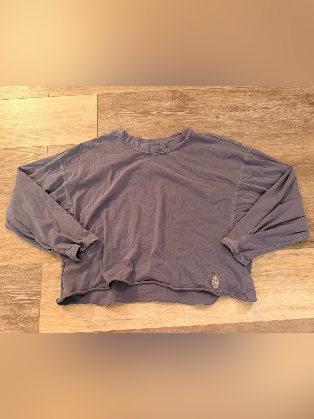FP Movement Blue Long Sleeve Crop Top - Large